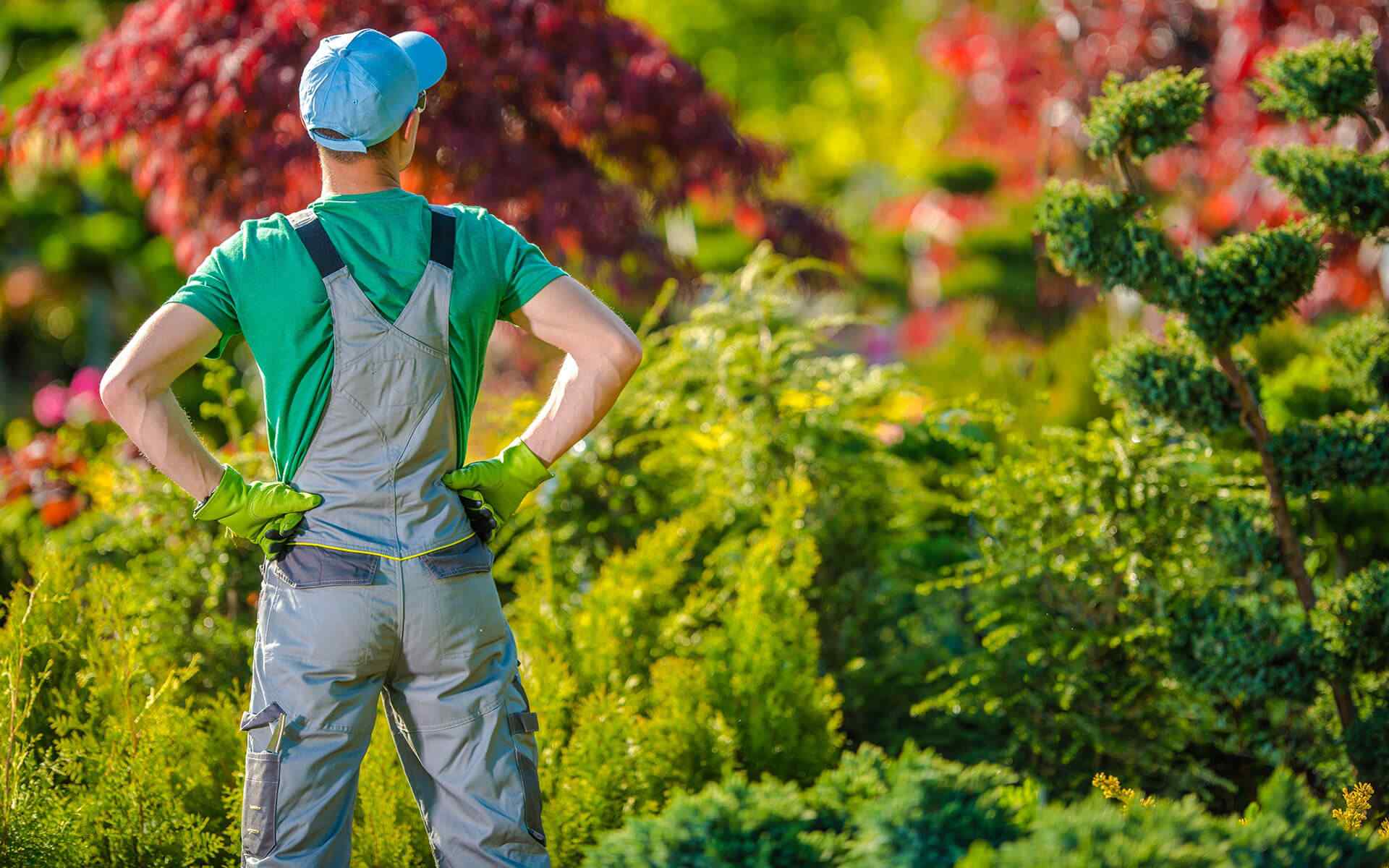 inner_02_home_02 https://aziende.semirari.it/wp-content/uploads/2019/08/inner_02_home_02.jpg