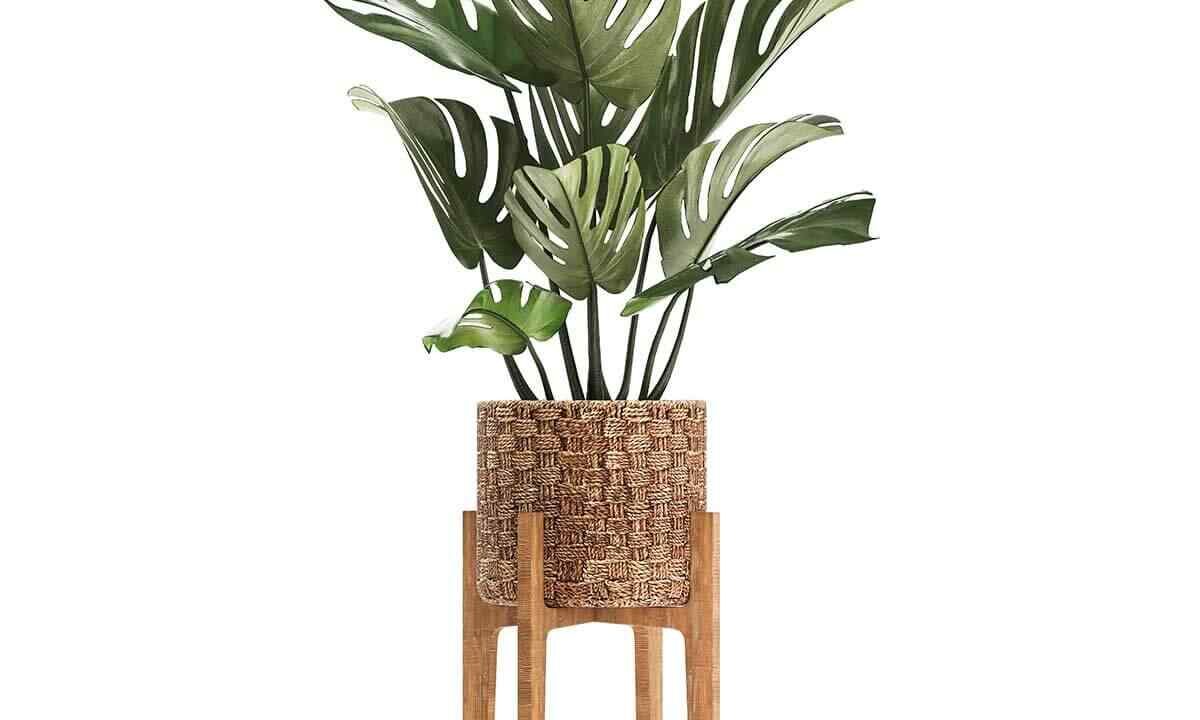 Where is the best place for the vegetable garden?