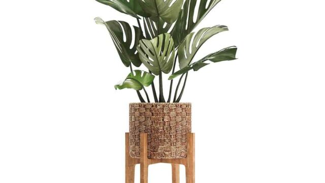 Where is the best place for the vegetable garden?